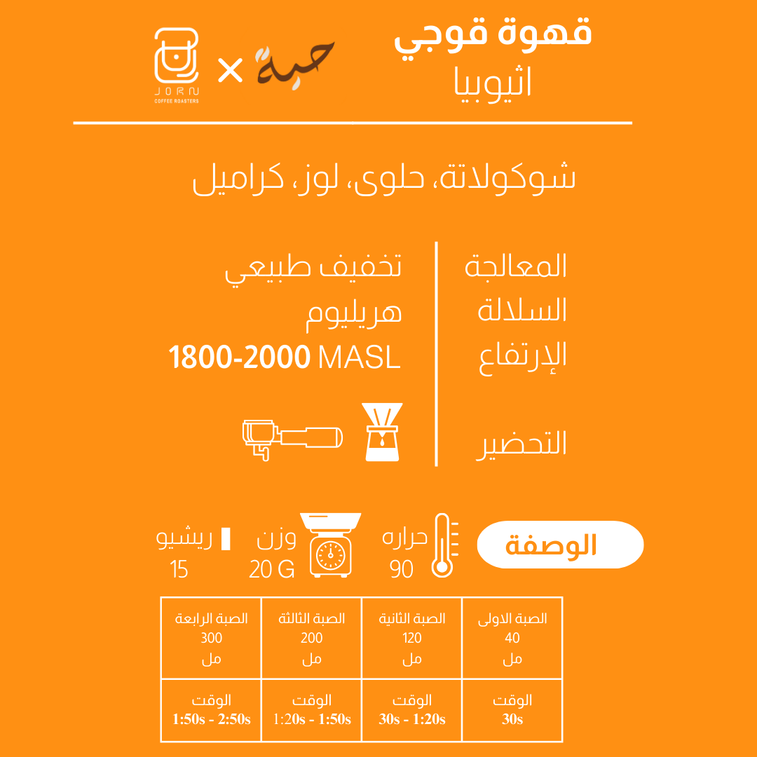 Guji - Ethiopia - Beans